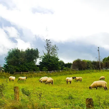 Bed and breakfast Seisnaun Sligo