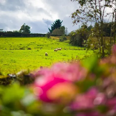 Bed and breakfast Seisnaun Sligo