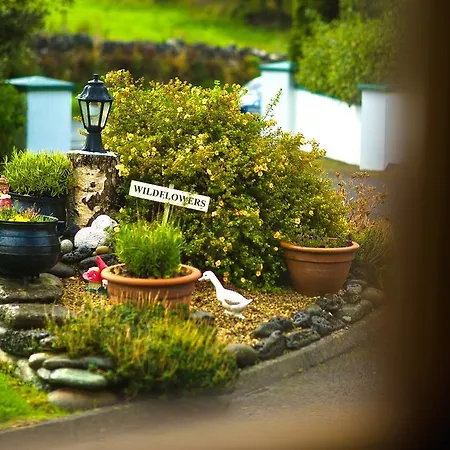 Bed and breakfast Seisnaun Sligo
